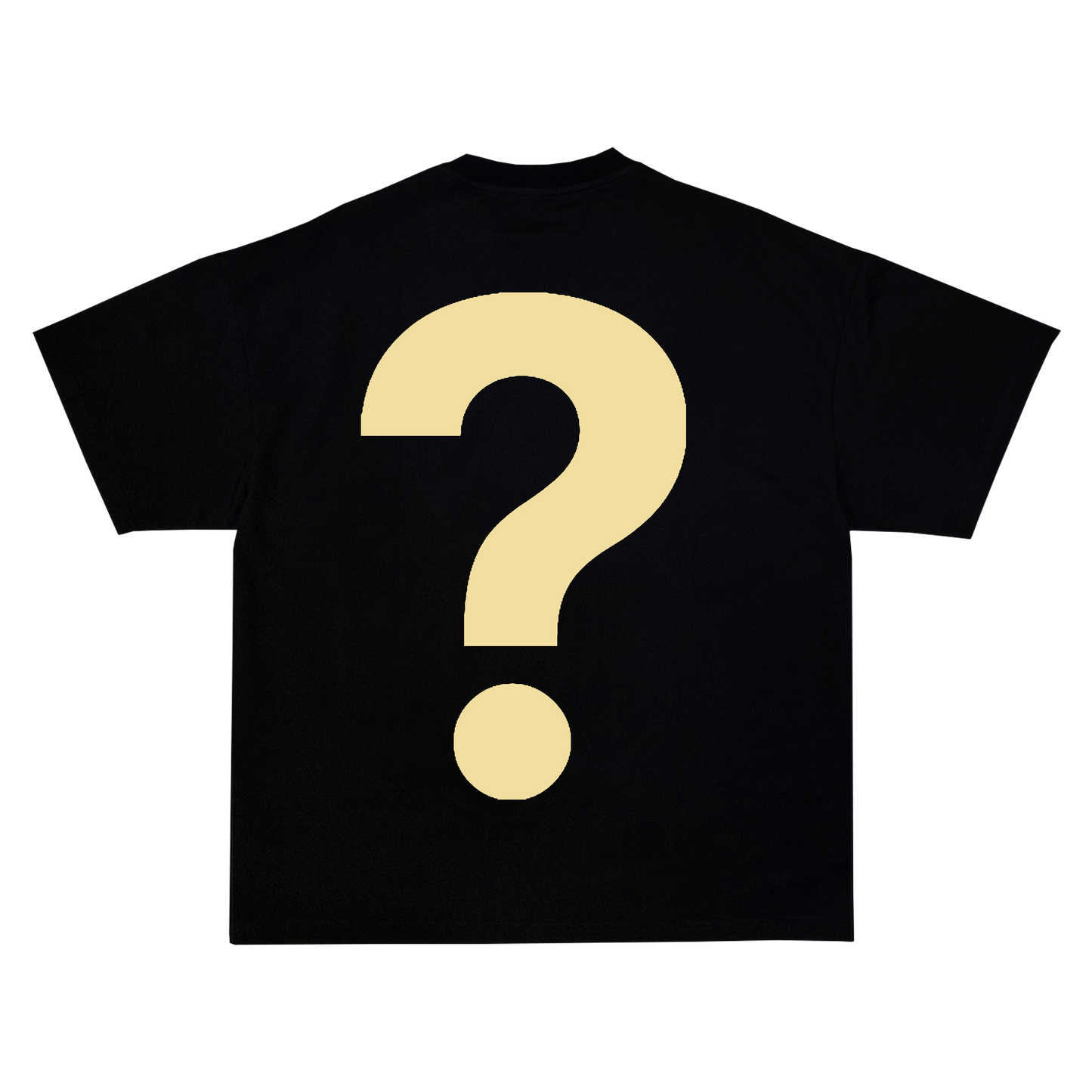 Mystery Tee | Random Shirt