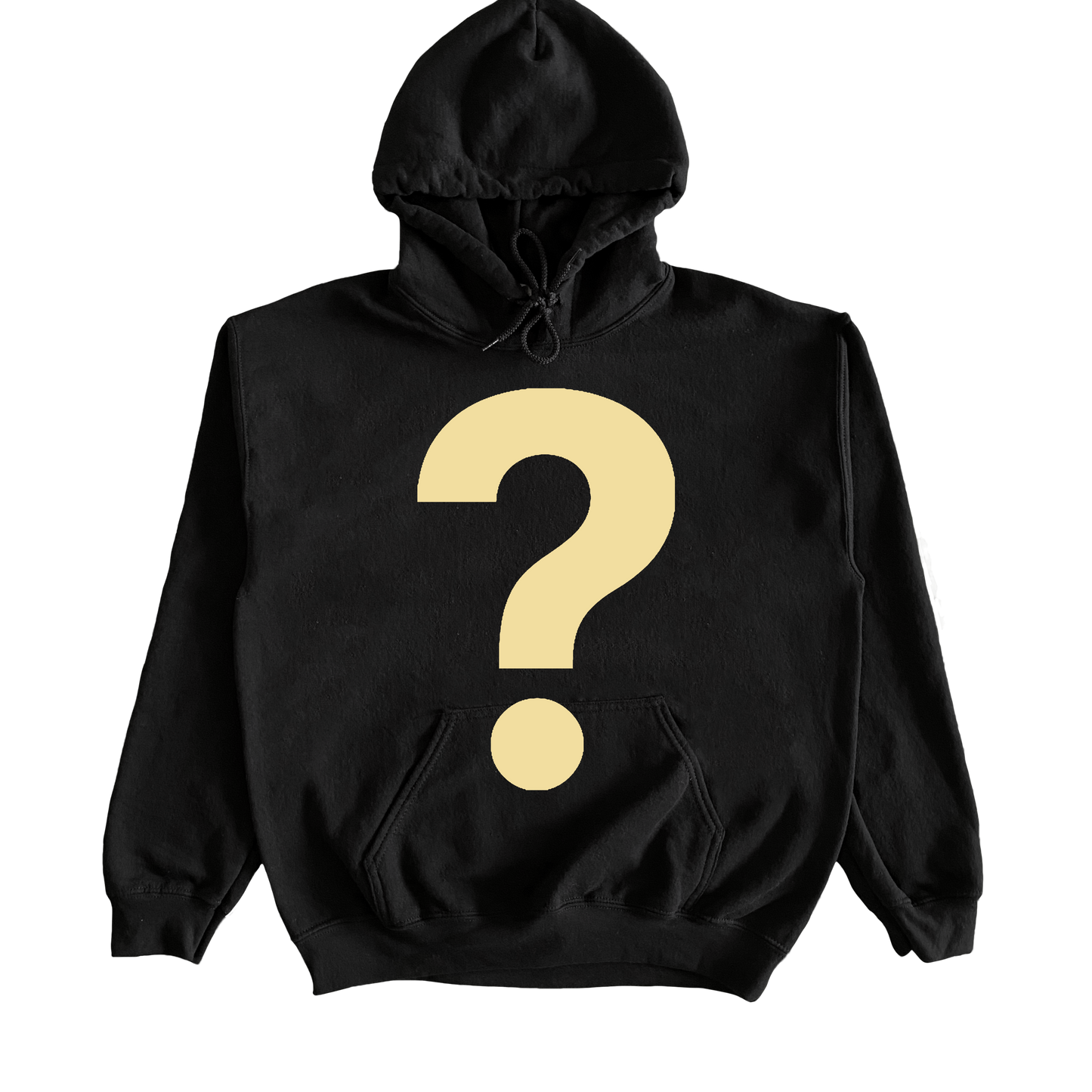 Mystery Hoodie / Crewneck | Random Hoodie / Crewneck