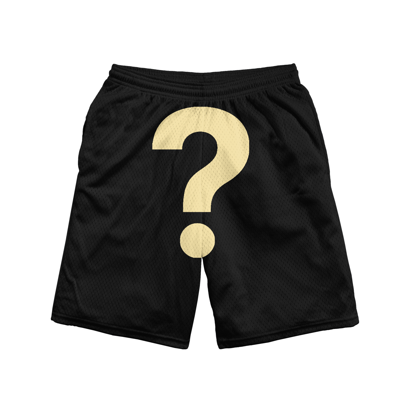 BIL Biker Shorts | Women's Shorts (Black)